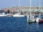 Lots and lots of sailboats