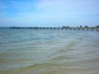 Pier at Little harbor