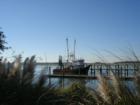 Shrimp Boat