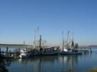 Shrimp Boats