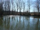 The lake at Durand park -beautiful any time of year.