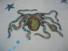 Mosaic sidewalk at Burns Court, Sarasota Florida