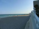 Hallandale beach