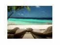 Aventura Relaxing by the beach