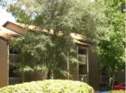 Treehouse Village condo, close to UF, on bus route