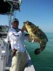 Catching Fish in Maimi