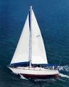 Sailboat in maimi