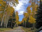 Fall on the west slope of Colorado