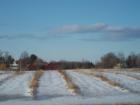 Greg's Farm during the winter.  In a few months will come to life.  A popular pick your own spot.