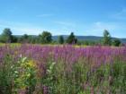 Wallkill countryside in spring facing the Shawangunk Mountains