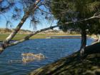 Views Near The V At Lake Las Vegas Condos