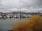 Boats in the harbor at Bellingham, below Eldridge Avenue