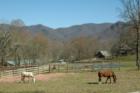Shiloh, an Equestrian Community