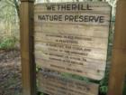 Wetherill Preserve - www.BloggingInBellevue.com