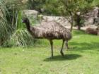 Shot at New Orleans Zoo, March 2004