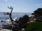17-mile drive scenery