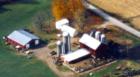 Large Dairy Farm