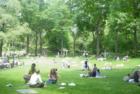 Relaxing on a Beautiful Day in Central Park