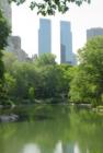 Reflections of Central Park, New York City