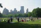 Central Park--With a beautiful Backdrop