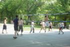 Stop by for a game of Volleyball in Central Park.