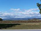 The Shawangunk Ridge