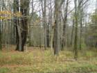 Otsego County acreage