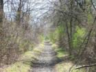 The Rail trail.