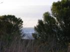 Fred Howard Park