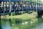 The Hotchkiss Bridge