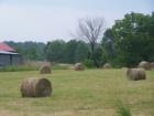Recently hayed fields.