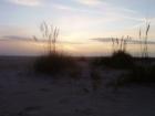 Dunes, almost sunset
