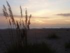 Dunes, nearly sunset