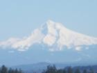 Mount Hood as seen from Bull Mountain