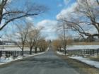 A country lane at a local horse farm.