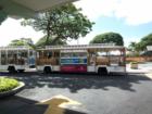 Ala Moana - Waikiki Trolley