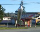 Bellingham's Rocke