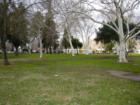 Another view of Crane park in Turlock