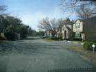 Typical view