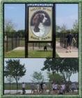 Our dogs love going to the dog park. They run free and have the best time!