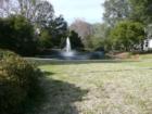 Typical view