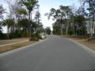 Typical view
