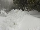 Winter has come to the San Bernardino Mountains Feb. 2008.. Lake Arrowhead has it's share of snow creating a playful Winter's Wonderland!!!!