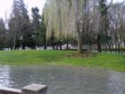 View of Trees and Parkland