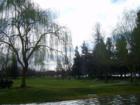 Park in San Ramon
