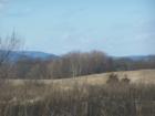 Borden Farm - rolling countryside farmlands. Home of Elsie the Cow!
