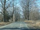 Scenic country road through Borden Farm.