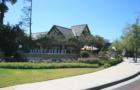 Market Street in the Woodlands!