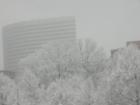 Snowy Rosslyn