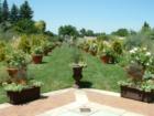 Denver Botanic Gardens